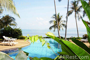 Coconut Paradise 32
